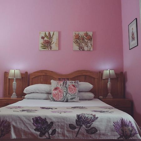 Homebase Melville Backpackers Johannesbourg Extérieur photo